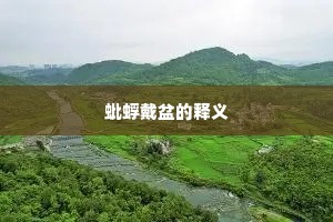 蚍蜉戴盆的释义