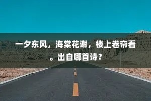 一夕东风，海棠花谢，楼上卷帘看。出自哪首诗？