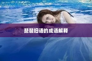 琵琶旧语的成语解释
