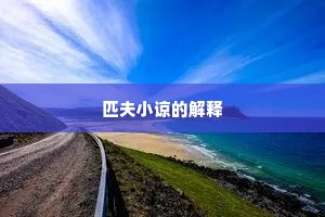 匹夫小谅的解释