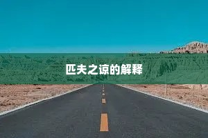 匹夫之谅的解释