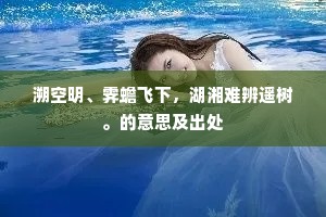 溯空明、霁蟾飞下，湖湘难辨遥树。的意思及出处