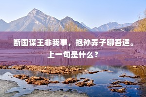 断国谋王非我事，抱孙弄子聊吾适。上一句是什么？