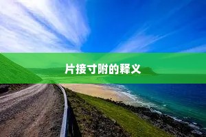片接寸附的释义