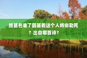 姓甚名谁了因甚着这个人将你勒死？出自哪首诗？