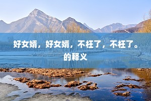 好女婿，好女婿，不枉了，不枉了。的释义
