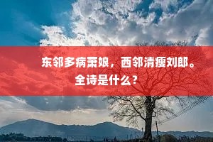 　　东邻多病萧娘，西邻清瘦刘郎。全诗是什么？