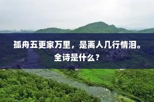 孤舟五更家万里，是离人几行情泪。全诗是什么？