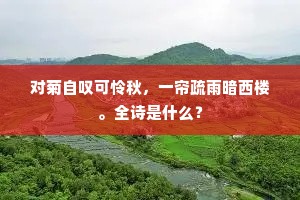 对菊自叹可怜秋，一帘疏雨暗西楼。全诗是什么？