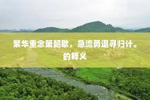 繁华重念箫韶歇，急流勇退寻归计。的释义