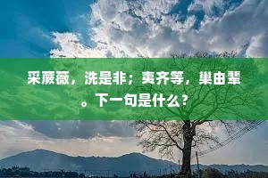 采蕨薇，洗是非；夷齐等，巢由辈。下一句是什么？