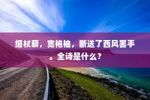 细杖藜，宽袍袖，断送了西风罢手。全诗是什么？
