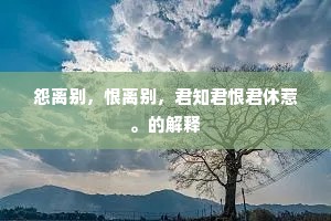 怨离别，恨离别，君知君恨君休惹。的解释