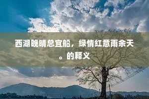 西湖晚晴总宜船，绿情红意雨余天。的释义