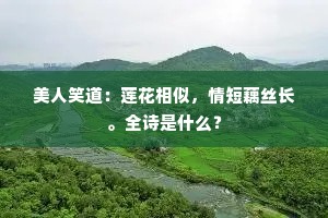 美人笑道：莲花相似，情短藕丝长。全诗是什么？