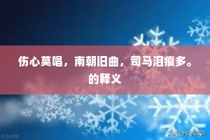 伤心莫唱，南朝旧曲，司马泪痕多。的释义
