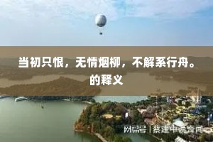 当初只恨，无情烟柳，不解系行舟。的释义