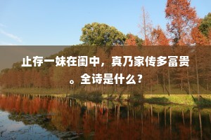 止存一妹在闺中，真乃家传多富贵。全诗是什么？