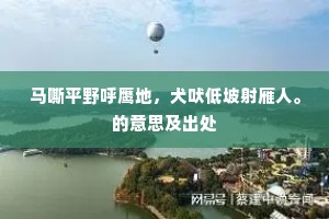 马嘶平野呼鹰地，犬吠低坡射雁人。的意思及出处