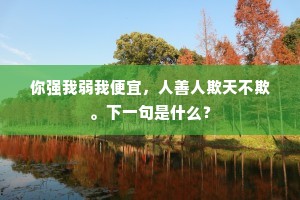 你强我弱我便宜，人善人欺天不欺。下一句是什么？