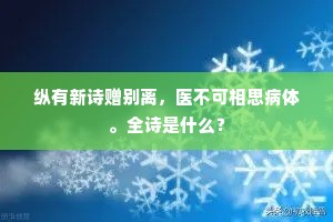 纵有新诗赠别离，医不可相思病体。全诗是什么？