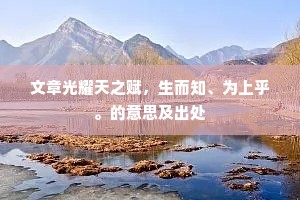 文章光耀天之赋，生而知、为上乎。的意思及出处