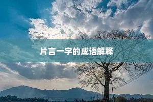 片言一字的成语解释