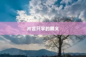 片言只字的释义