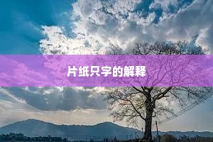片纸只字的解释