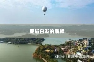 庞眉白发的解释