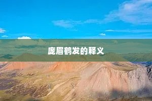 庞眉鹤发的释义