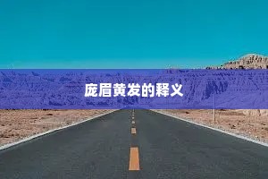 庞眉黄发的释义