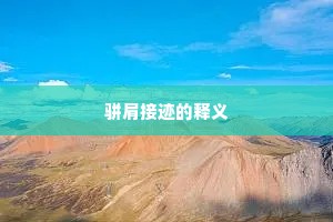 骈肩接迹的释义