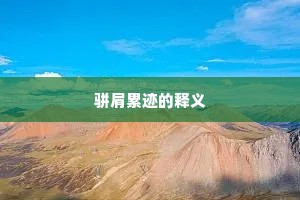 骈肩累迹的释义