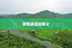 拼死拼活的释义 拼死拼活的释义