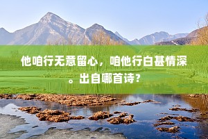 他咱行无意留心，咱他行白甚情深。出自哪首诗？