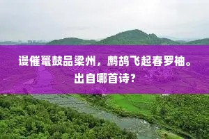 谩催鼍鼓品梁州，鹧鸪飞起春罗袖。出自哪首诗？