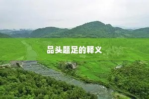 品头题足的释义