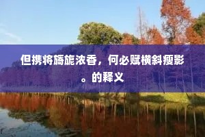 但携将旖旎浓香，何必赋横斜瘦影。的释义