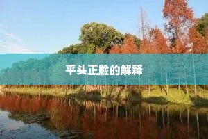 平头正脸的解释