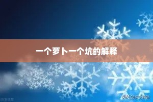 一个萝卜一个坑的解释