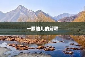 一股脑儿的解释
