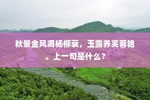 秋景金风凋杨柳衰，玉露养芙蓉艳。上一句是什么？