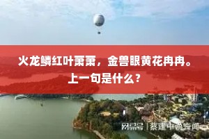 火龙鳞红叶萧萧，金兽眼黄花冉冉。上一句是什么？