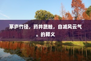 茅庐竹径，药井蔬畦，自减风云气。的释义