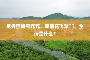尽劣燕娇莺冗冗，笑落花飞絮濛濛。全诗是什么？
