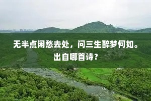 无半点闲愁去处，问三生醉梦何如。出自哪首诗？