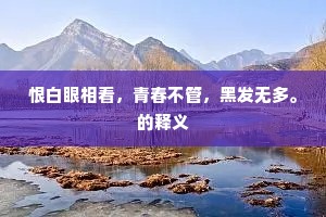 恨白眼相看，青春不管，黑发无多。的释义