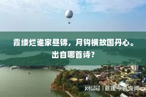 霞缕烂谁家昼锦，月钩横故国丹心。出自哪首诗？