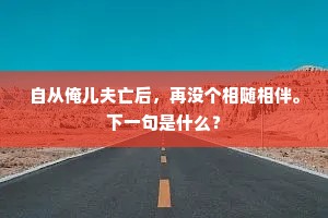 自从俺儿夫亡后，再没个相随相伴。下一句是什么？